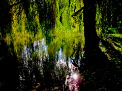 GB3250.river.reflection.sun.2